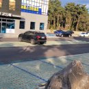 모슬포고등어 이미지