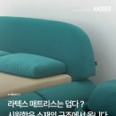 사계절 내내 숙면을 선물하는 헷세드의 비밀 이미지
