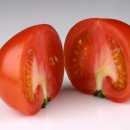 토마토요양병원 이미지