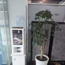 월송막국수 | 월송cc맛집 원주 온정리닭갈비금강막국수 원주점 솔직 후기