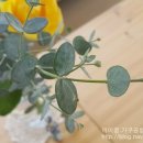 만원행복청소 이미지