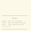 포그샤인