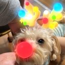 (주)우다다 이미지