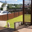 또자펜션 | 제주반려동반숙소 : 달중이네쉬멍 / 제주애단비애월 / 또자스테이