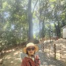 (주)상록조경 | 일본 간사이 지방 자유여행 나라 이끼정원과 연못정원을 모두 볼 수 있는 요시키엔(吉城園) 정원과...
