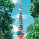 스마트폰으로 배우는 사진촬영과 보정법 이미지