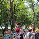 와룡아랫공원 이미지