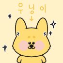 [용산 아이파크몰] 로우어가든 / 태극당 / 코코콘 / 한과와락 내돈내산 솔직 후기 (+새팝업)