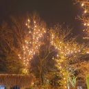 에코랜드수영장 수영장 이미지