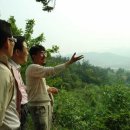 태백산맥 이미지