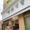 부산 요시고 사진전 따뜻한 휴일의 기록 관람 후기 이정도면 오픈런? (전시회 정보)