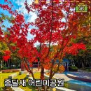 종달새어린이공원 이미지