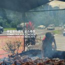 (주)소소팜 | 하와이 쿠알로아랜치 맛집 야미 훌리 훌리 치킨, 마카다미아 넛츠 팜 하와이 여행코스 추천