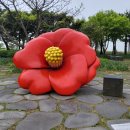 제주미즈리 이미지