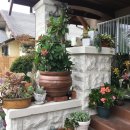 루나 하우스(Luna House) 이미지