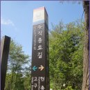 동작충효길 2코스 현충원길 이미지