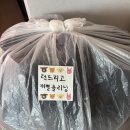 겨울 패딩 코트 세탁 런드리고 내돈내산 후기 / 추천인 초대코드