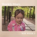 [주간일기] 다섯 번째 5월, 무난한 한주