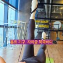 홈트 헬스 운동기구 자이글 쭉쭉바디 생생 후기