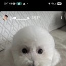 로또 넘예뻐요 이미지