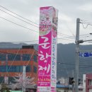 분홍빛 벚꽃과 함께 걸은 진해군항제의 봄(15-04-01-13) 이미지