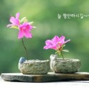 팔심 이미지