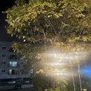 오리연못 화장실 | 수원 맛집::팔딱오리 수원본점 | (내돈내산)수원역 오리주물럭 맛집 후기