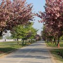 미사경정공원 이미지