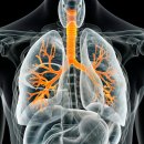 이름 없는 폐 질환: 수백만 명의 흡연자들에게 영향을 미치는 수수께끼 같은 고통 이미지