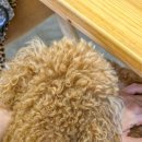 더블루 베이커리 이미지