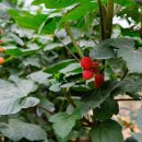 김진석 농장 이미지