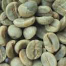 산토스커피(SANTOS COFFEE)