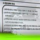 푸른솔염색 이미지
