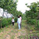 큰나무농장 이미지