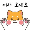 도그파파 동물병원 이미지