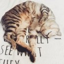 모찌모찌네일 이미지