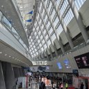 벡스코 동물병원 | 2026 부산 궁디팡팡 캣페스타 벡스코 방문 후기 주차꿀팁 궁팡은 지갑을 궁핍하게 해