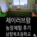 삼향북초등학교 | 제이러브팜 농장체험 후기 - 삼향북초등학교