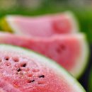 수박이네 이미지