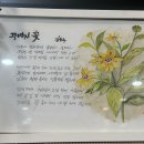 김순국