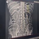 삼성본신경외과의원 이미지