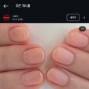 네일비아르 이미지
