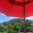 청기와민박 | [제목] 강원도 인제 가볼만한곳 자작나무숲 근처 인제맛집 청기와맛집 방문 후기