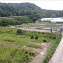 내곡동-1 이미지