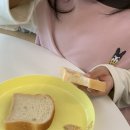 국내산 재료로 만든 건강한 우유 쌀식빵! 뮬랭듀몽드 아기식빵 솔직 후기