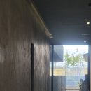 셜터(SHLTR)
