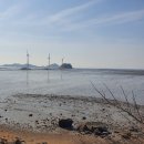 탄도항 누에섬 펜션 이미지