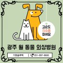 윌 동물외상센터 이미지