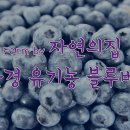 자연의집 이미지