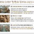 송화버섯 강촌농원 최고에요☆
